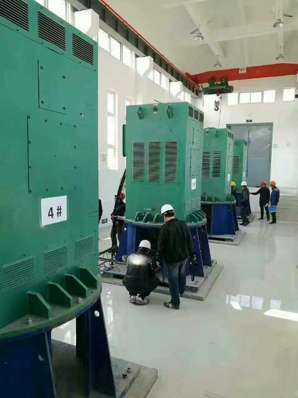 邯郸某污水处理厂使用我厂的立式高压电机安装现场